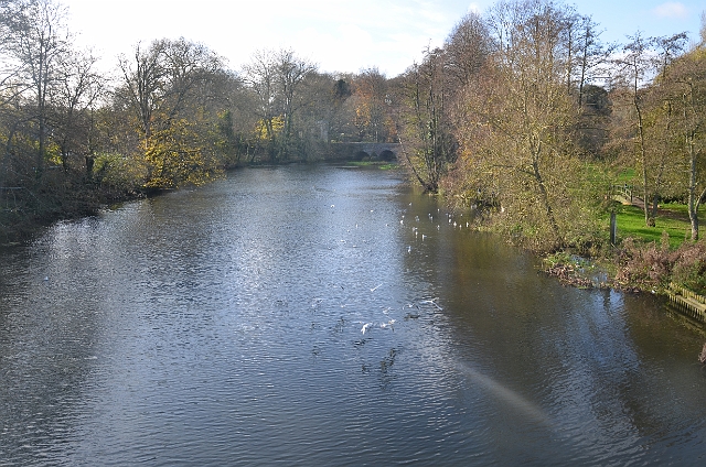 27 11 11_3702.JPG - BLANDFORD FORUM, DORSET & THE RIVER STOUR